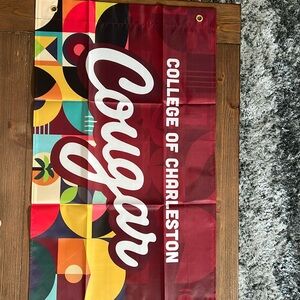 31x19 Flag of Cougar College of Charleston